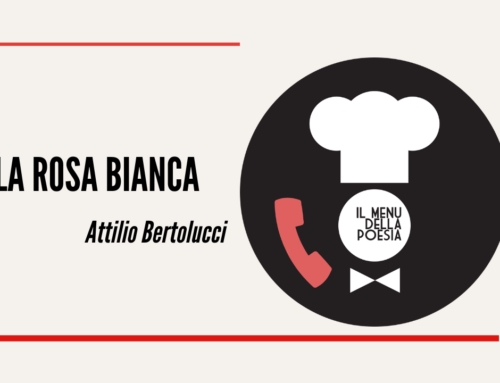 LA ROSA BIANCA di Attilio Bertolucci