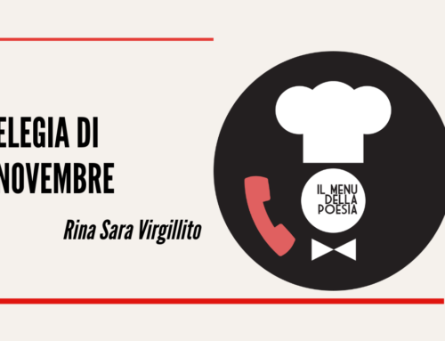 ELEGIA DI NOVEMBRE di Rina Sara Virgillito 