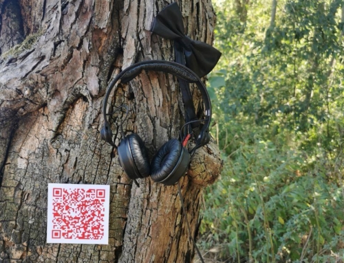 21 Novembre Giornata Nazionale degli ALBERI